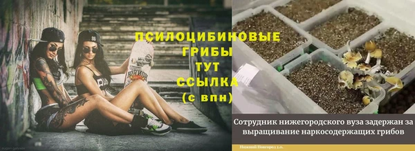 дурь Абаза