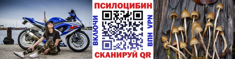 Псилоцибиновые грибы мухоморы KRAKEN ссылка Кизилюрт где продают наркотики